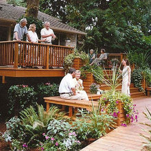 front yard
