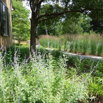 Griffiths Gardens