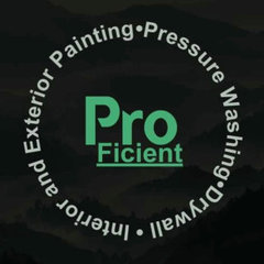 Proficient LLC