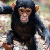 Jimmie Stone's photo