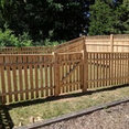 Merigan's Backyard Innovations's profile photo