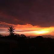 Veronica Jaramillo Rivas's photo