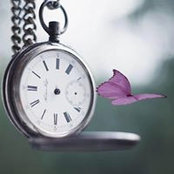 Sree Satya's photo