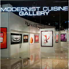 Modernist Cuisine Gallery