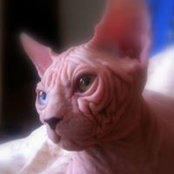 Claudia Gilling's photo