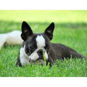 Lesli Tomlin's photo