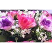 Liz Khalid's photo