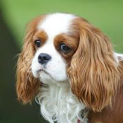 Becky Wileman's photo