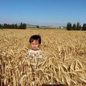 Ofer Erez's photo
