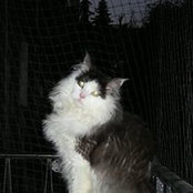 Birgit Fausts foto
