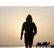 Davide Gaeta's photo