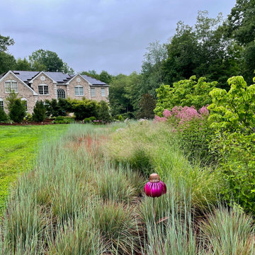Native Meadow