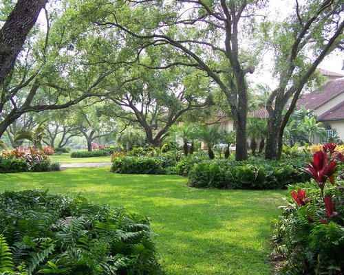 Front Yard Landscaping Orlando Fl | Houzz