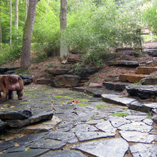 Garden/backyard