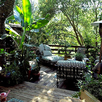 My Landscape Designs