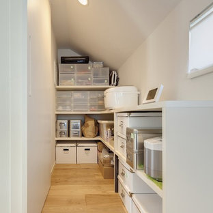 Contemporary kitchen pantry appliance - Trendy kitchen pantry photo in Other