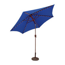 umbrella