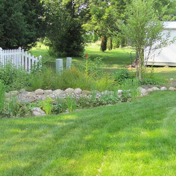 Pond and Rain Garden
