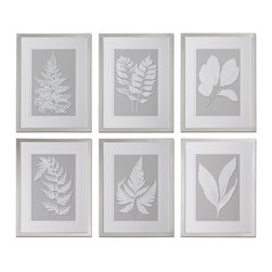 www.essentialsinside.com: moonlight ferns framed wall art, set of 6 - Artwork