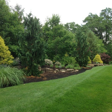 Lush Landscapes