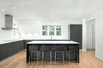 Kitchen - contemporary kitchen idea in Chicago