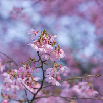 Landscape photography