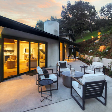 Stylish Mid-Century Modern