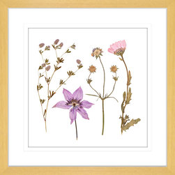Spring Wildflowers Collection - Framed Art Prints (WILD04) - Artwork