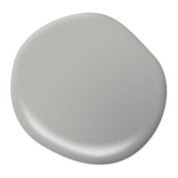 Sonic Silver HDC-MD-26 - Paint