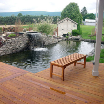 Ponds and Waterfalls