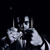 Foto von Prisoner Love