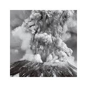Connie McCready's photo