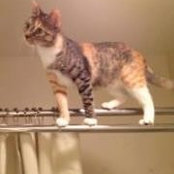 Sue Seighman's photo