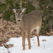 Aimee Gadouas's photo