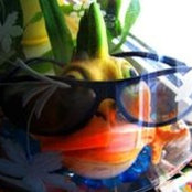 Vladimir Afonin's photo