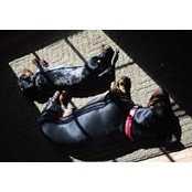 Eileen Splitt's photo