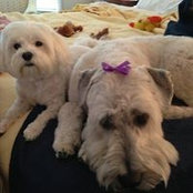 Kathy Kirk-forker's photo