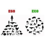 Philippe Enon's photo