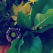 Morgan Grimbly's photo