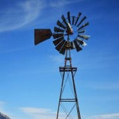 Brandi Snyder's photo