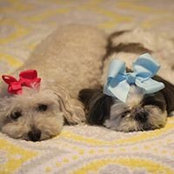 Jamie Houchen's photo