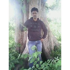 vijay