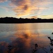 Tim Pass's photo