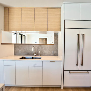 Lexington Passive & Net Zero House