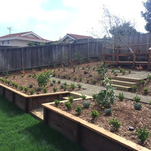 Front Yard Stairs Landscaping Project