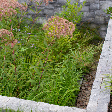 Contemporary Hillside Garden