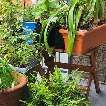 BALCONY GARDEN - an Edible and Ornamental Garden in the Sky