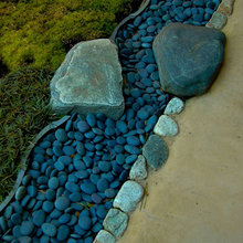 Landscape Ideas