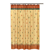 shower curtaiin