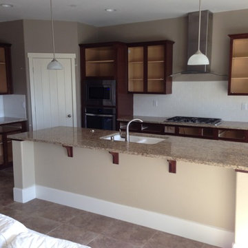 DARK CABINETS-BEFORE